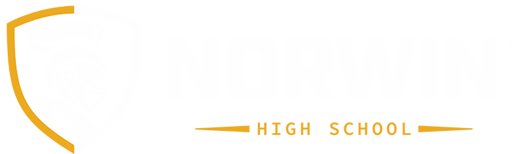 Norwin School Logo